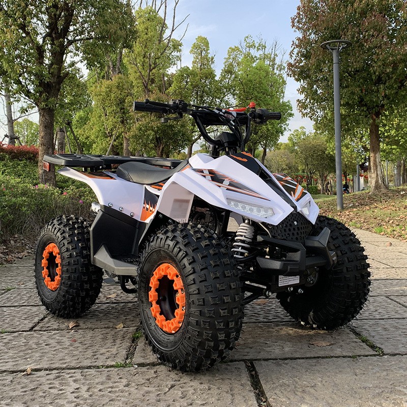 Outdoor Adventure Quad Biking - ATV 125CC, Piccolo Veicolo Fuoristrada Falcon,