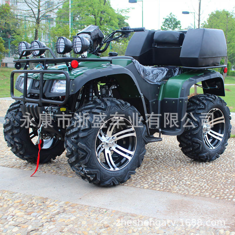 Outdoor Adventure Quad Biking - ATV 250cc, Veicolo Fuoristrada a 4