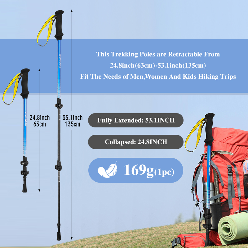 Bastone da Trekking in Fibra d - Trekking Pole Carbon recensione e prezzo