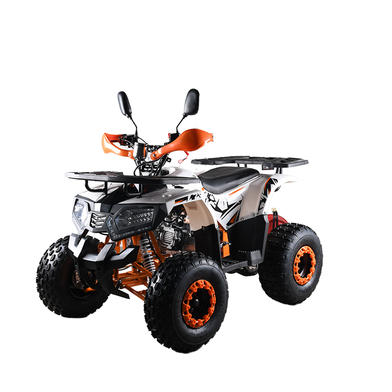 Quad ATV 110cc CE EPA per Adul - Outdoor Adventure Quad Biking recensione e prezzo