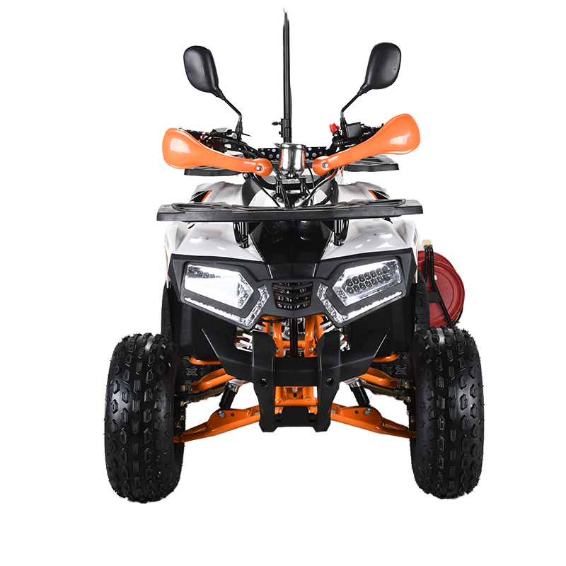 Quad ATV 110cc CE EPA per Adul - Outdoor Adventure Quad Biking recensione e prezzo
