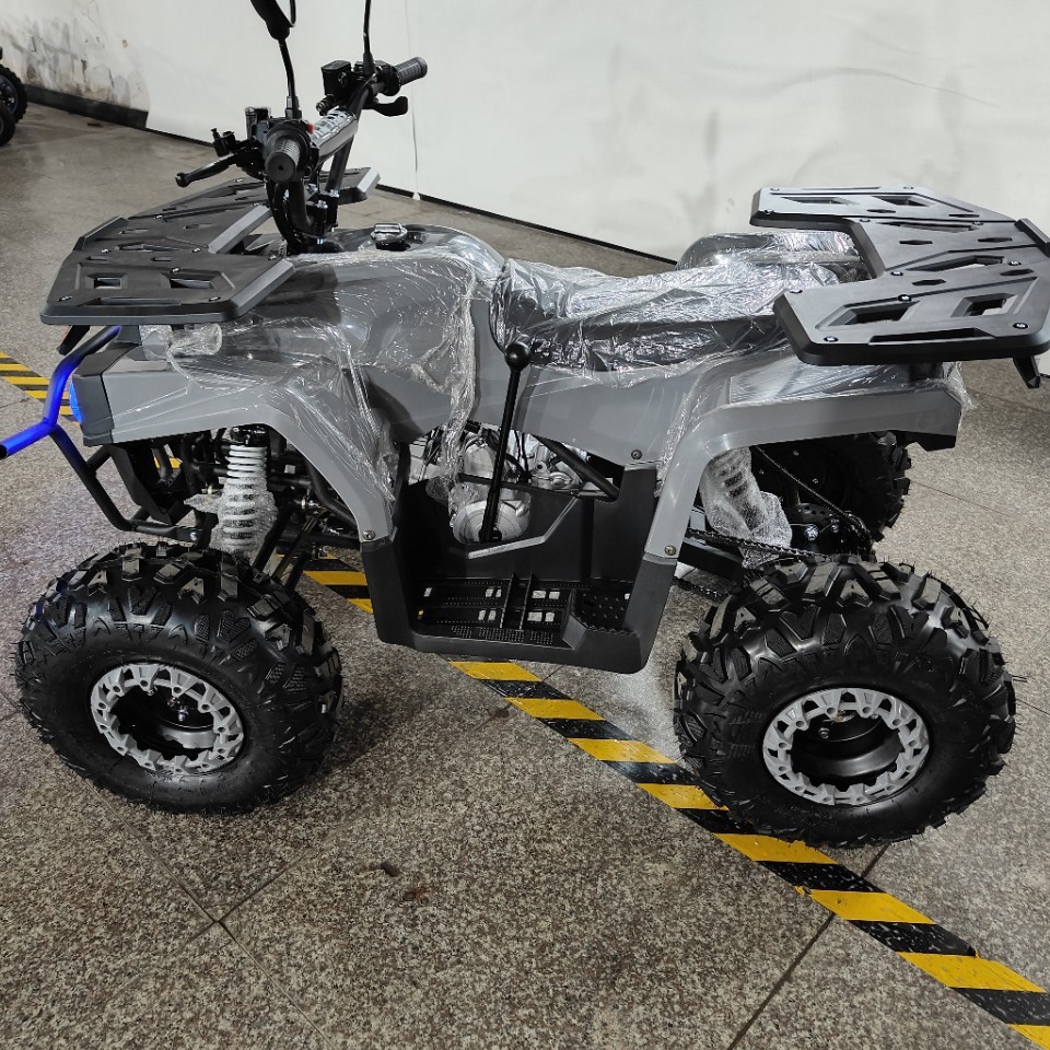 ATV 125cc, Quad per Tutti i Te - Outdoor Adventure Quad Biking recensione e prezzo