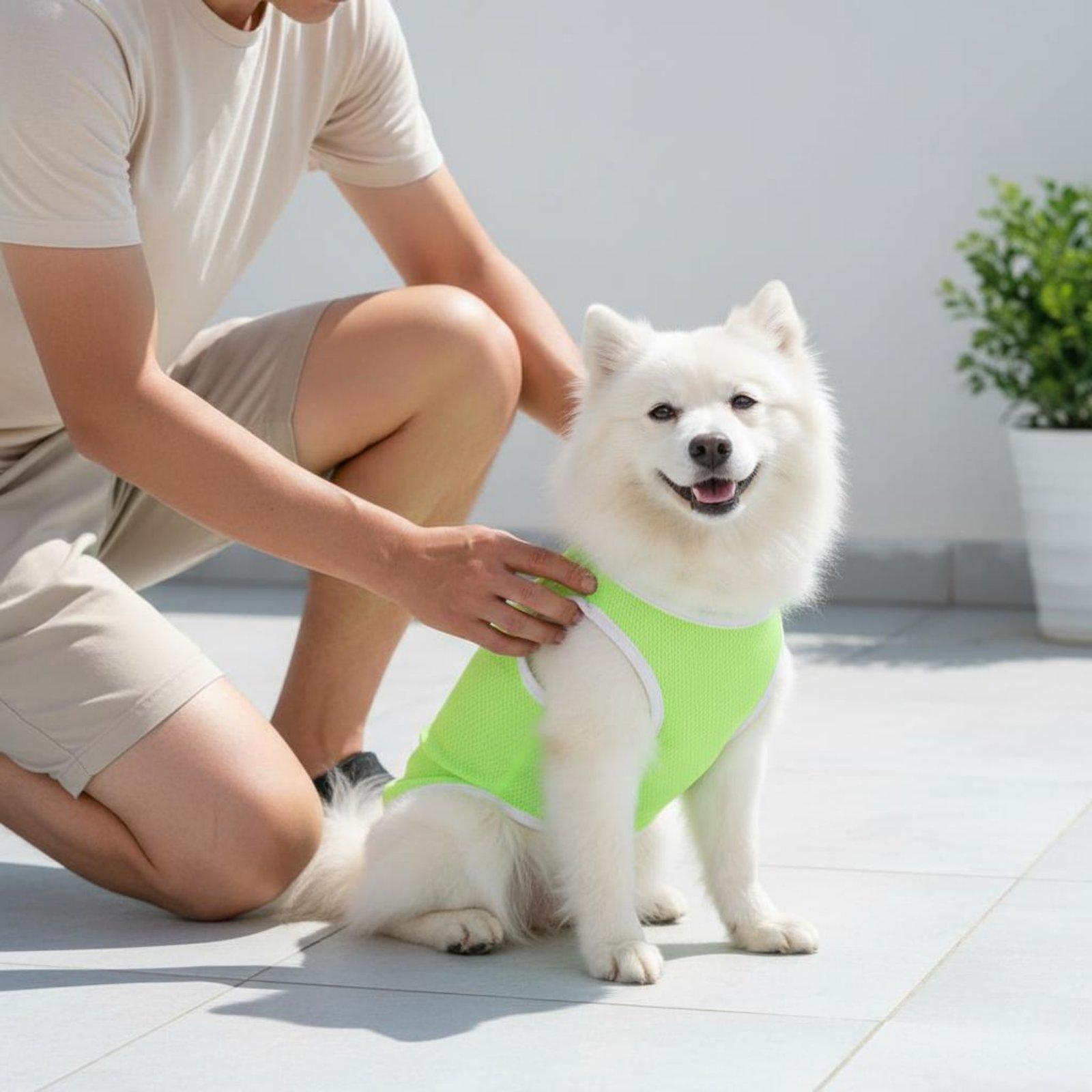 Gilet in rete per cani, maglie - Outdoor Adventure Vest recensione e prezzo