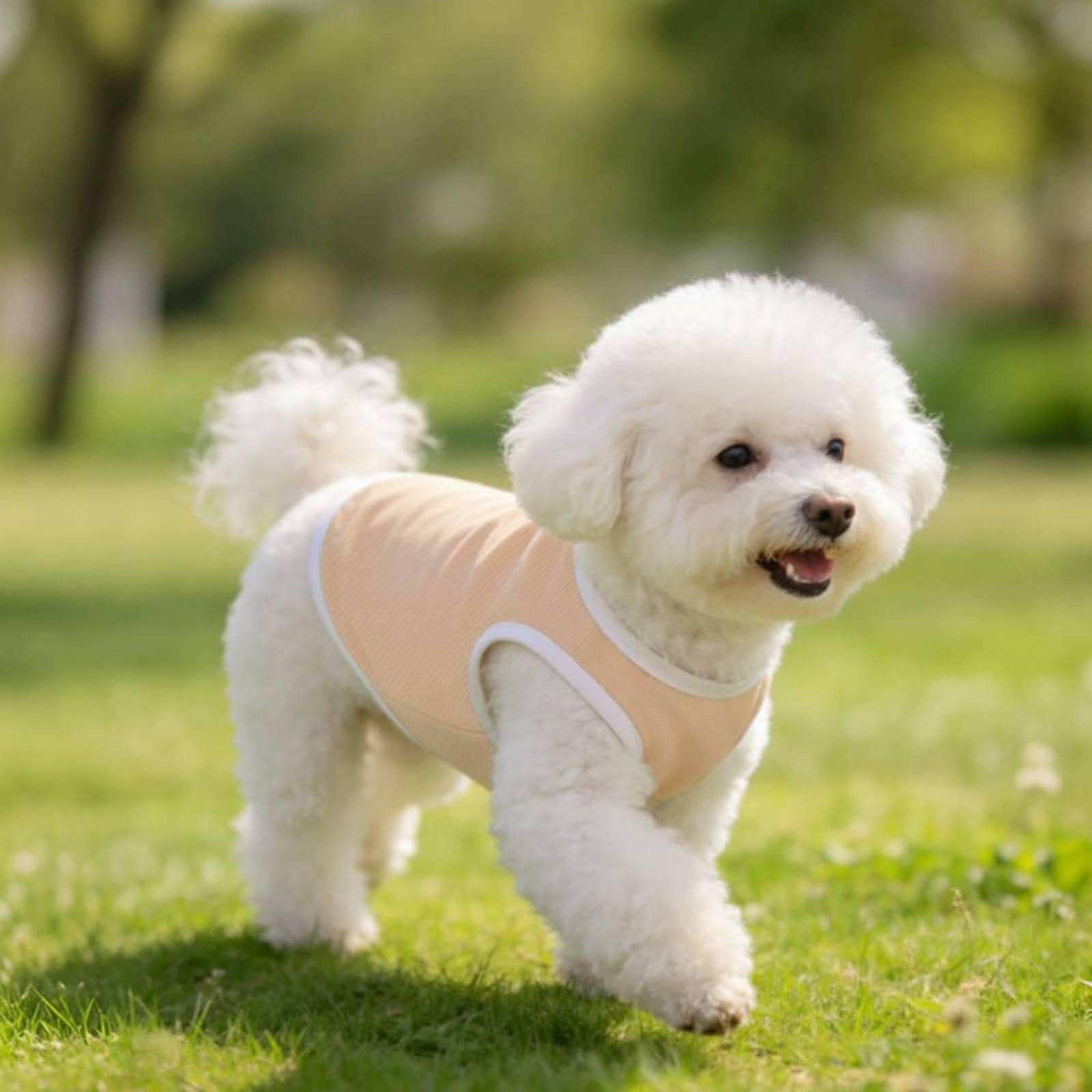 Gilet in rete per cani, maglie - Outdoor Adventure Vest recensione e prezzo