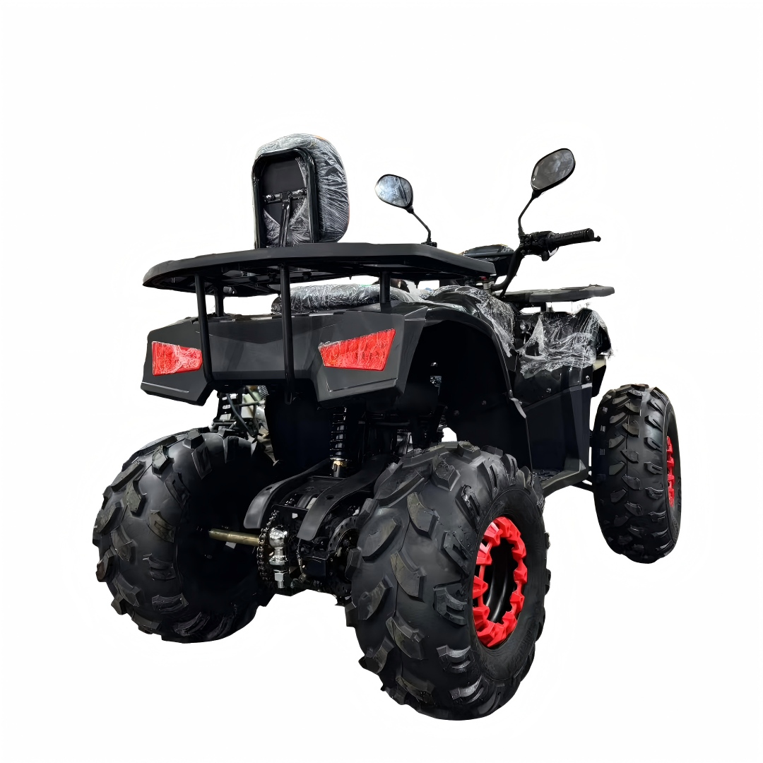 Nuovo Modello 2026 ATV Quad Bi - Outdoor Adventure Quad Biking recensione e prezzo