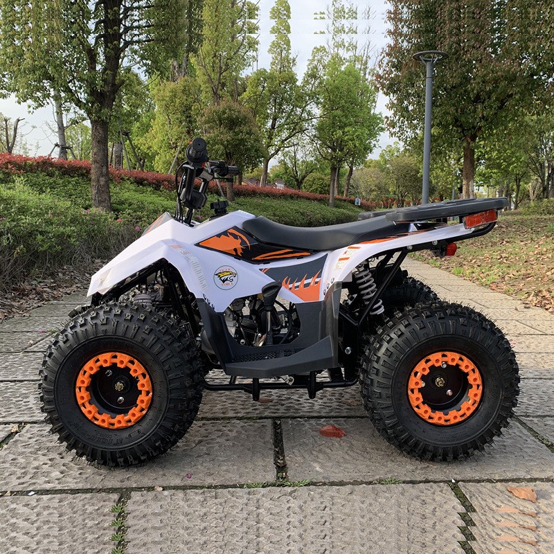 ATV 125CC, Piccolo Veicolo Fuo - Outdoor Adventure Quad Biking recensione e prezzo