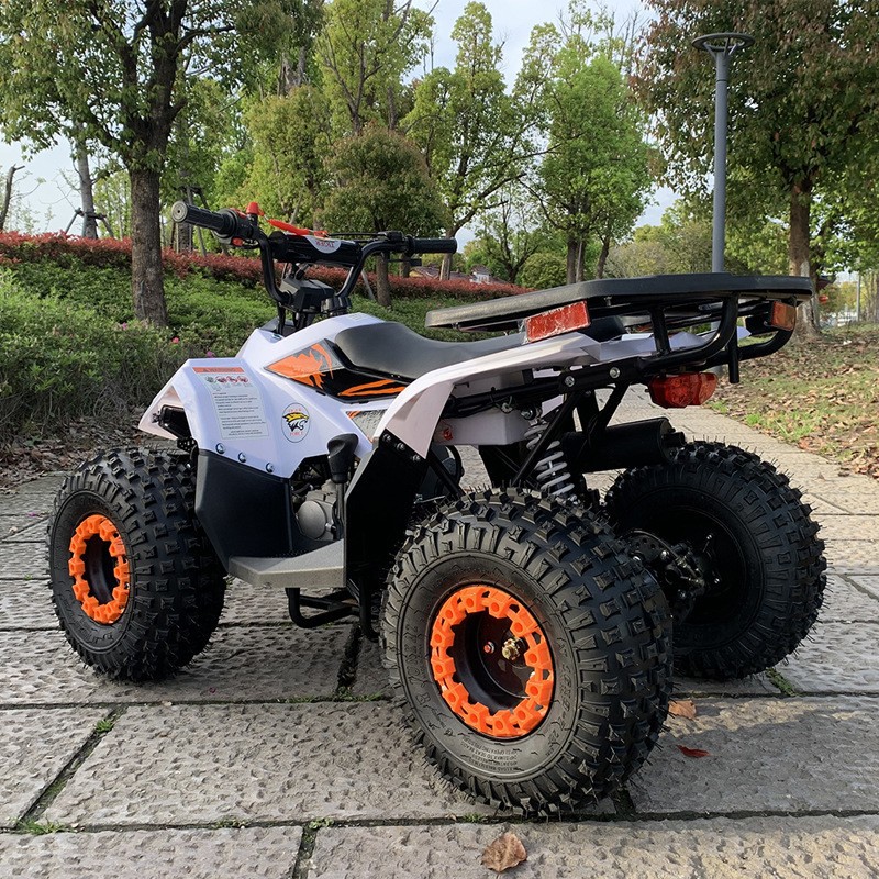 ATV 125CC, Piccolo Veicolo Fuo - Outdoor Adventure Quad Biking recensione e prezzo