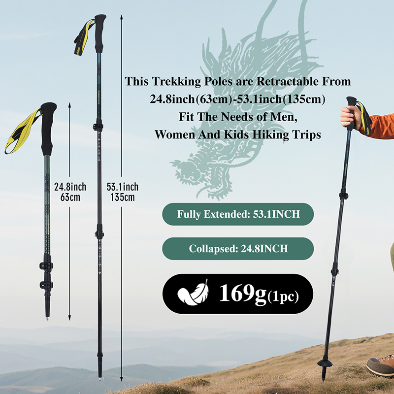 Bastone da Trekking in Fibra d - Trekking Pole Carbon recensione e prezzo