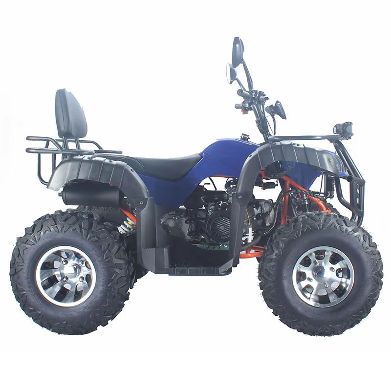 Dune Buggy da Corsa per Adulti - Outdoor Adventure Quad Biking recensione e prezzo