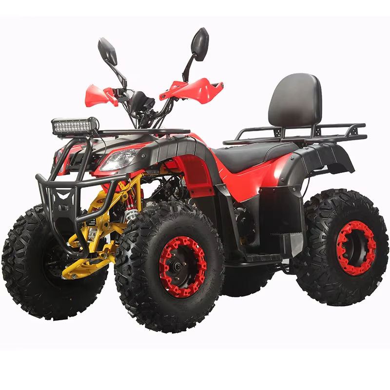 Quad ATV Personalizzato per Ad - Outdoor Adventure Quad Biking recensione e prezzo