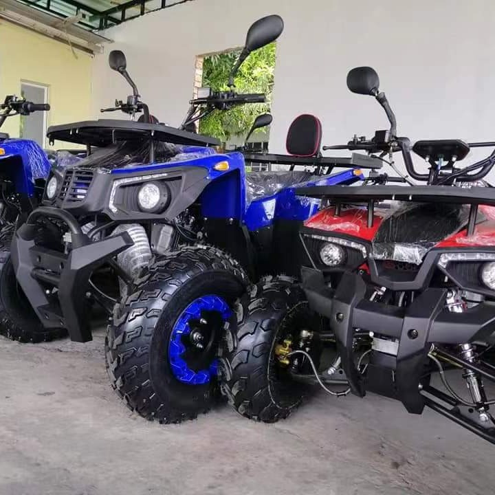 Buggy Fuoristrada 200CC GY6, Q - Outdoor Adventure Quad Biking recensione e prezzo