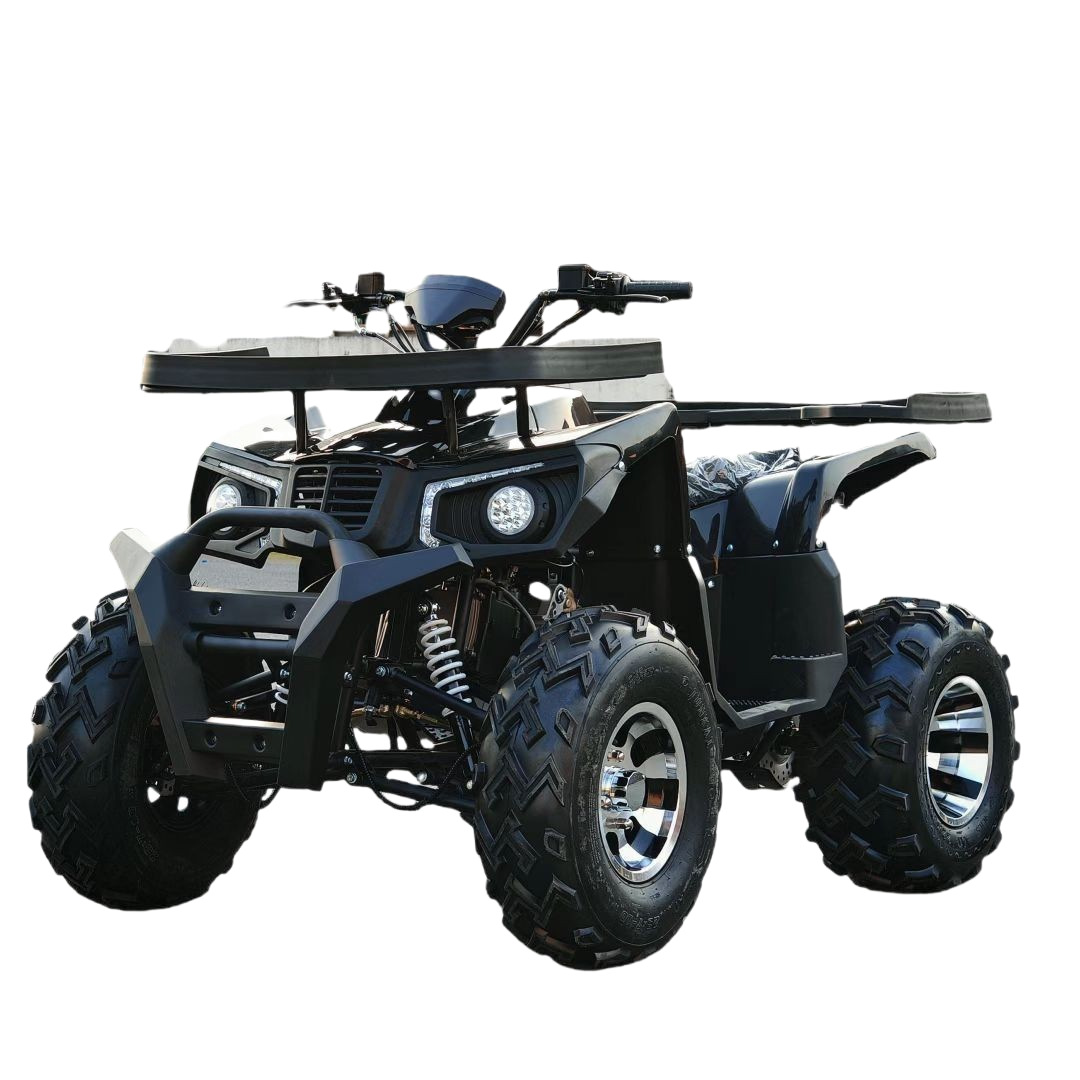 Buggy Fuoristrada 200CC GY6, Q - Outdoor Adventure Quad Biking recensione e prezzo