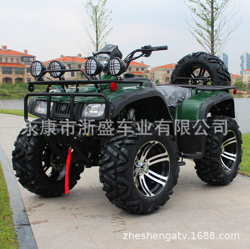 ATV 250cc, Veicolo Fuoristrada - Outdoor Adventure Quad Biking recensione e prezzo