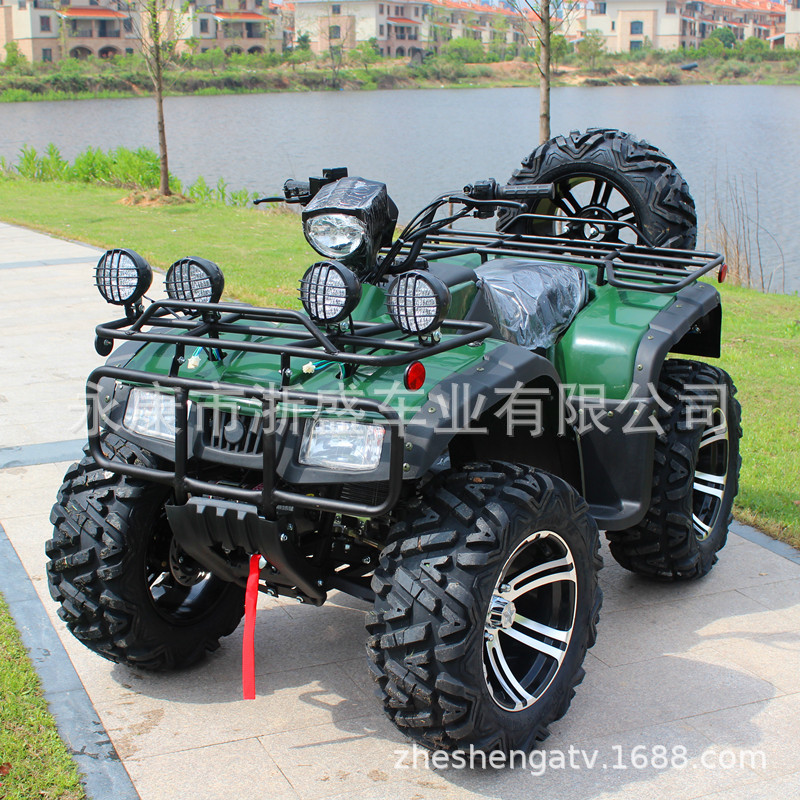 ATV 250cc, Veicolo Fuoristrada - Outdoor Adventure Quad Biking recensione e prezzo