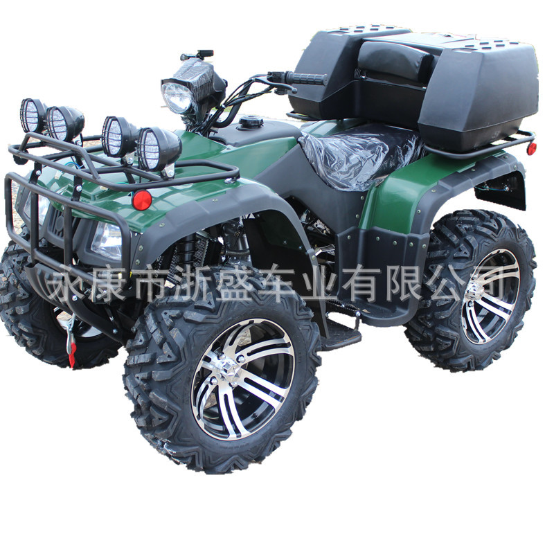 ATV 250cc, Veicolo Fuoristrada - Outdoor Adventure Quad Biking recensione e prezzo
